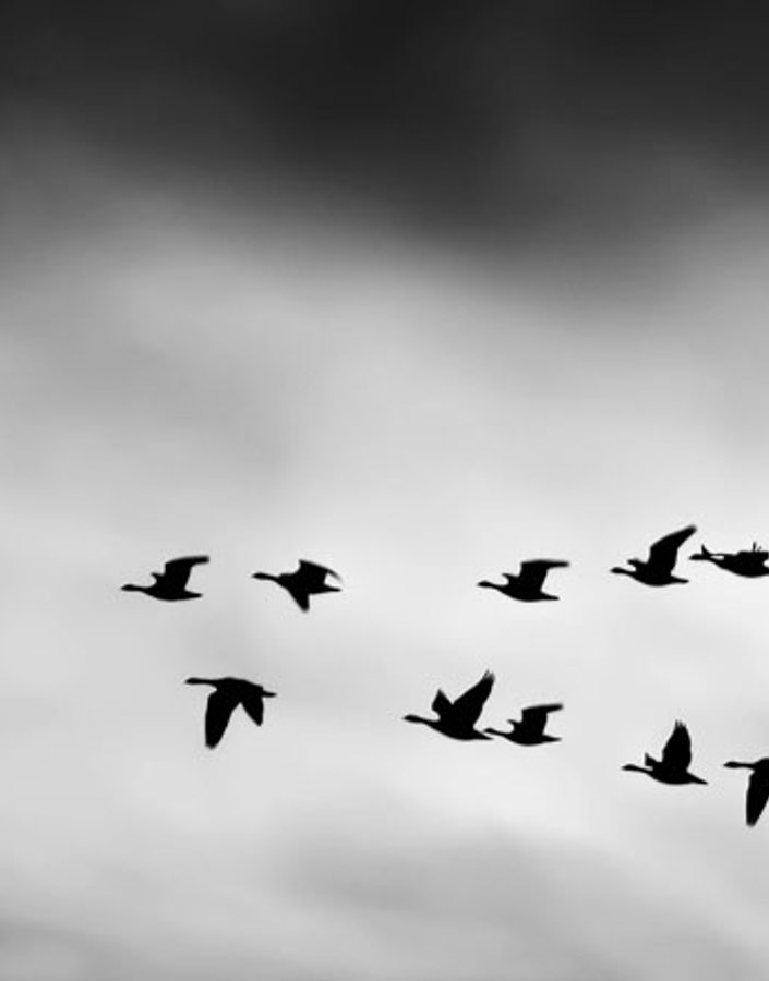 In-house recruitment teams