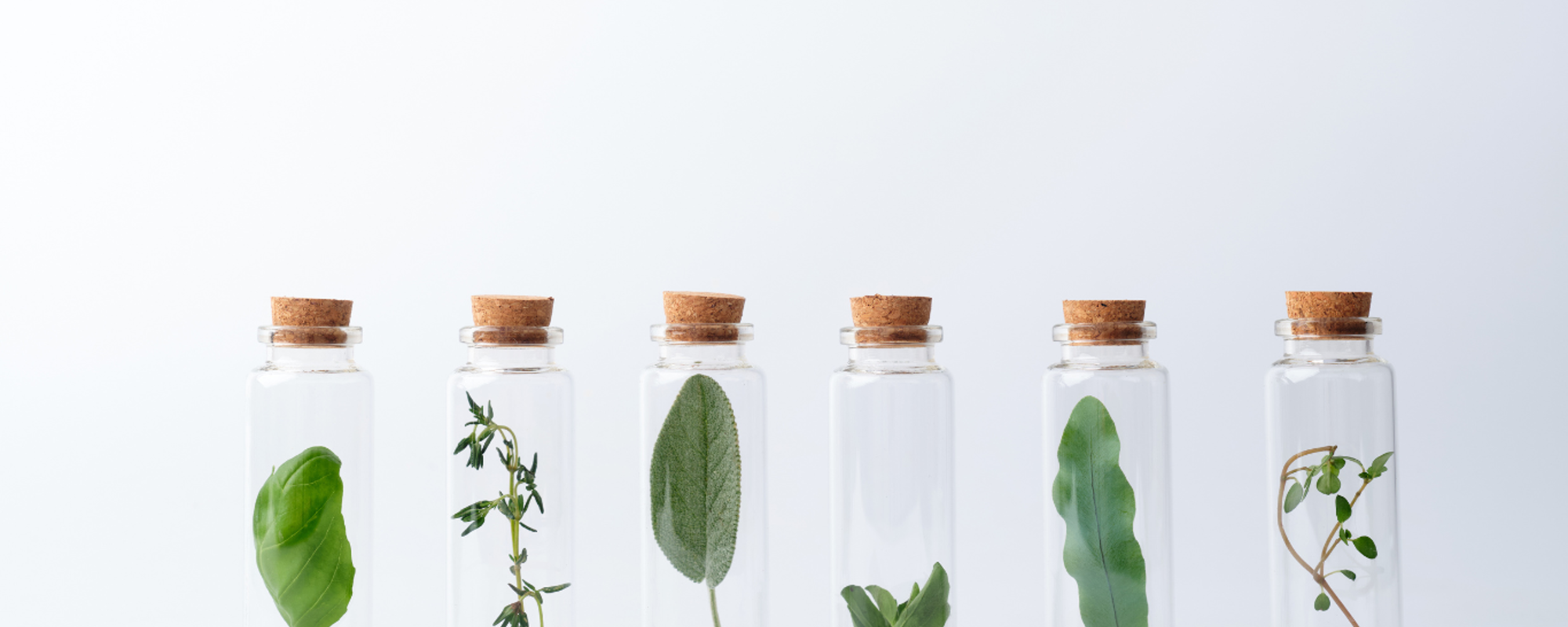 What is the role of governments in meeting sustainability goals?