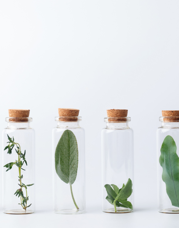 What is the role of governments in meeting sustainability goals?