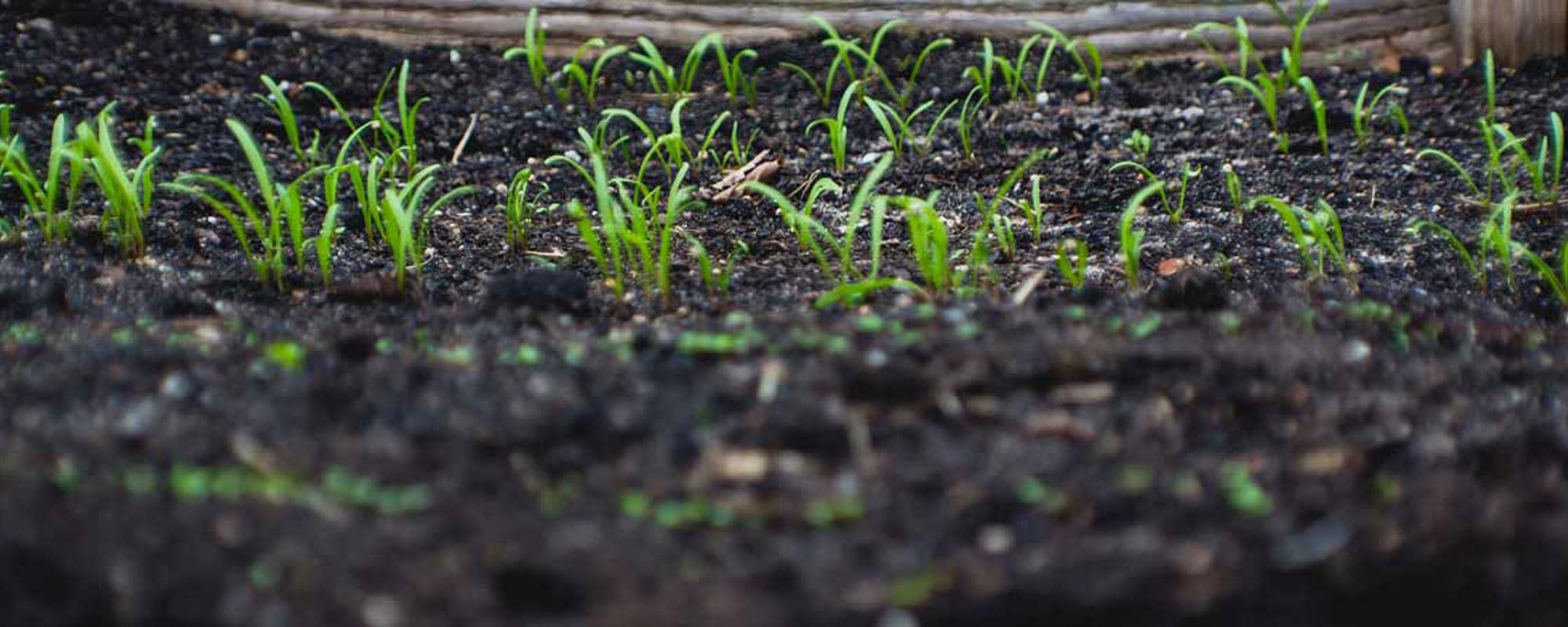 The benefits of lead nurturing and lead scoring