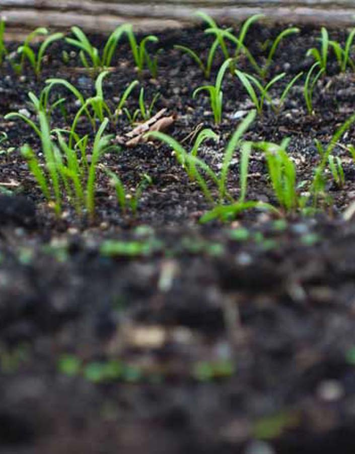 The benefits of lead nurturing and lead scoring