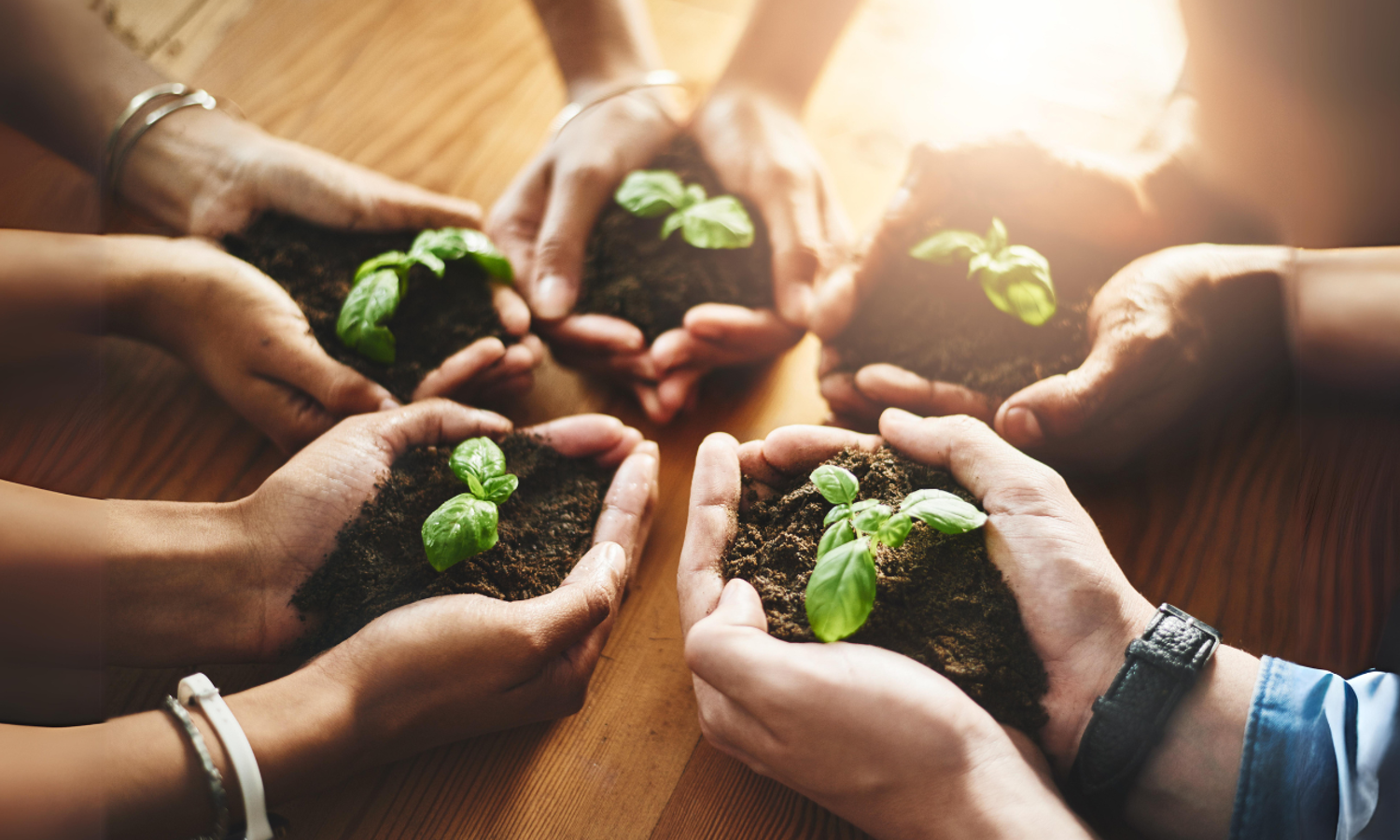 What is the concept of sustainability?