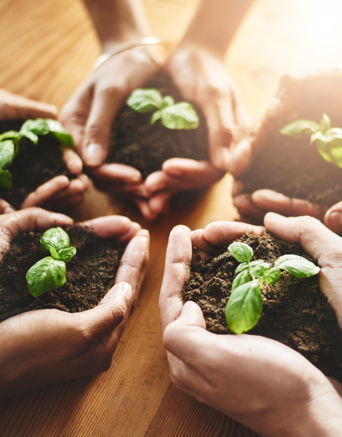 What is the concept of sustainability?