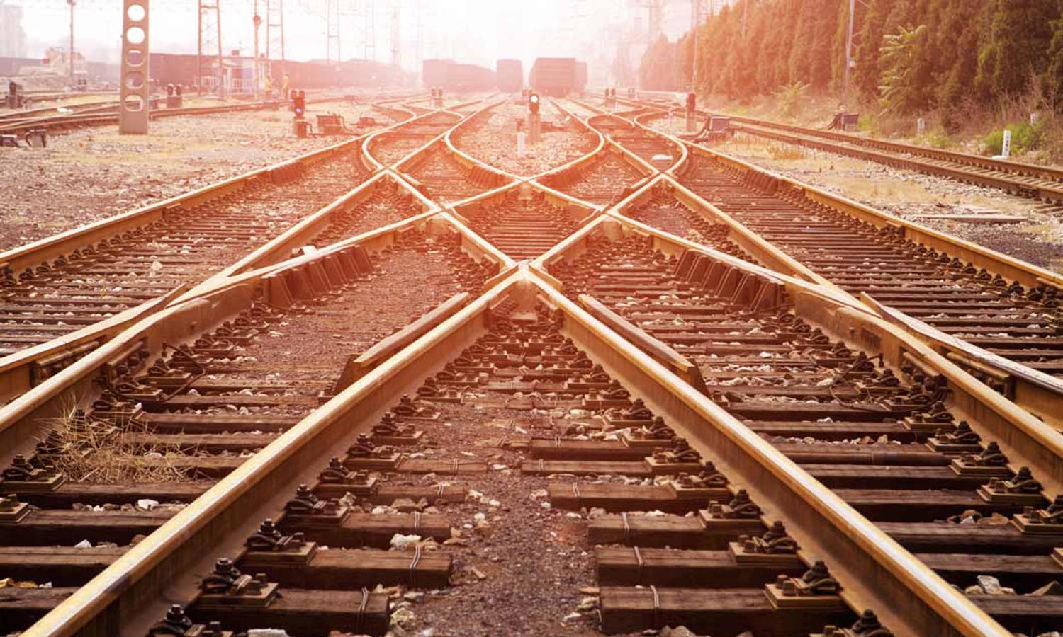 Business Change & Transformation