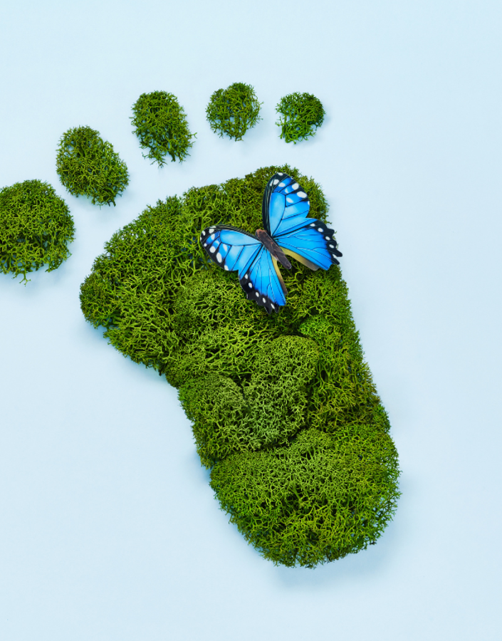 What are The United Nations Sustainable Development Goals?