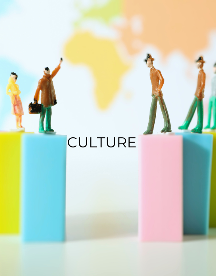 What is the role of organisational culture in business?