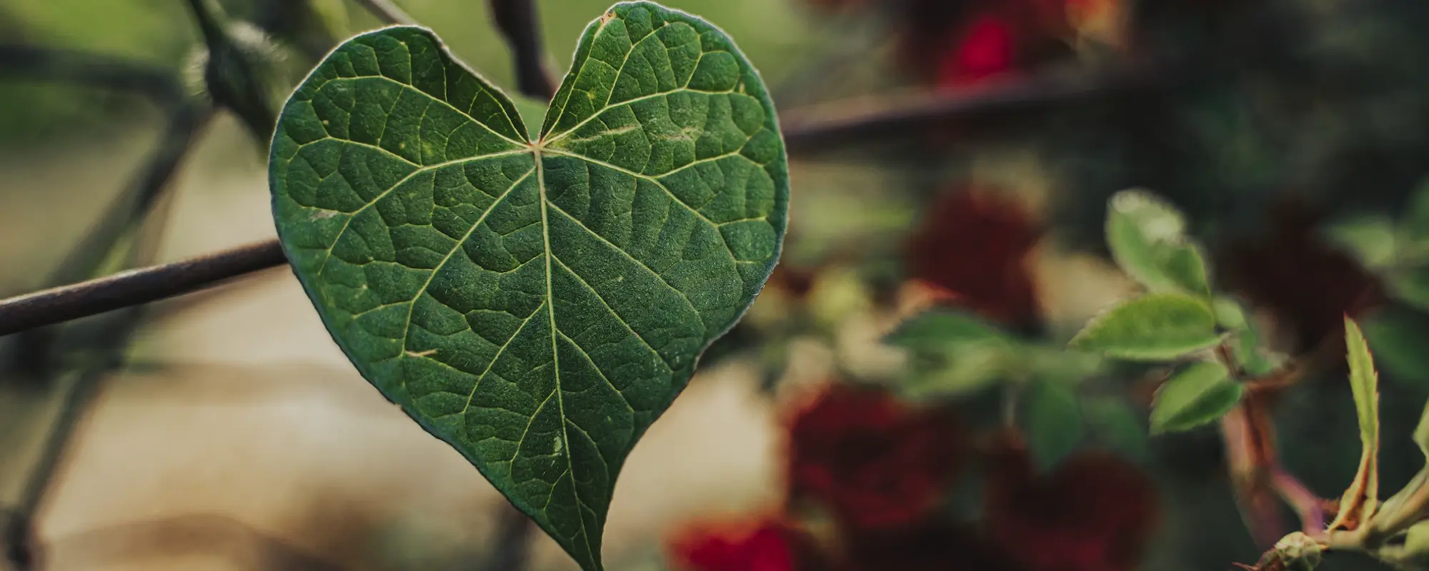 ESG Social Commitment