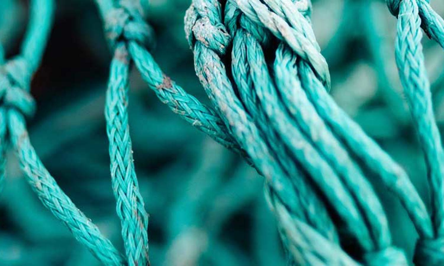 Give yourself the edge in the war for talent