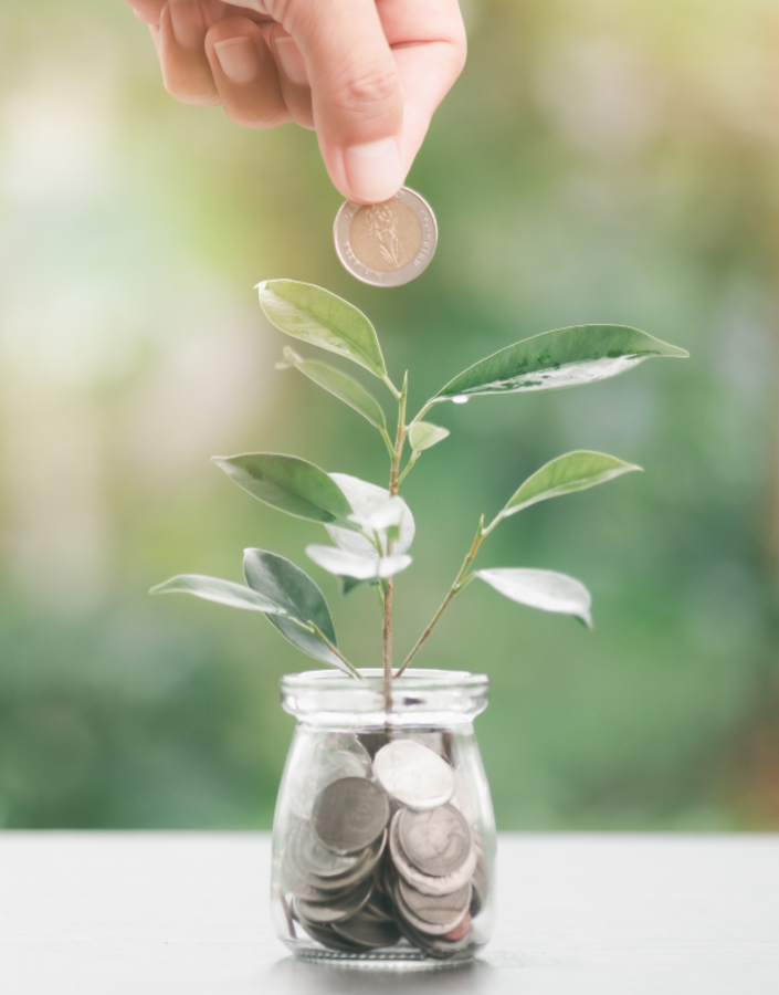 Why should I invest in sustainability?