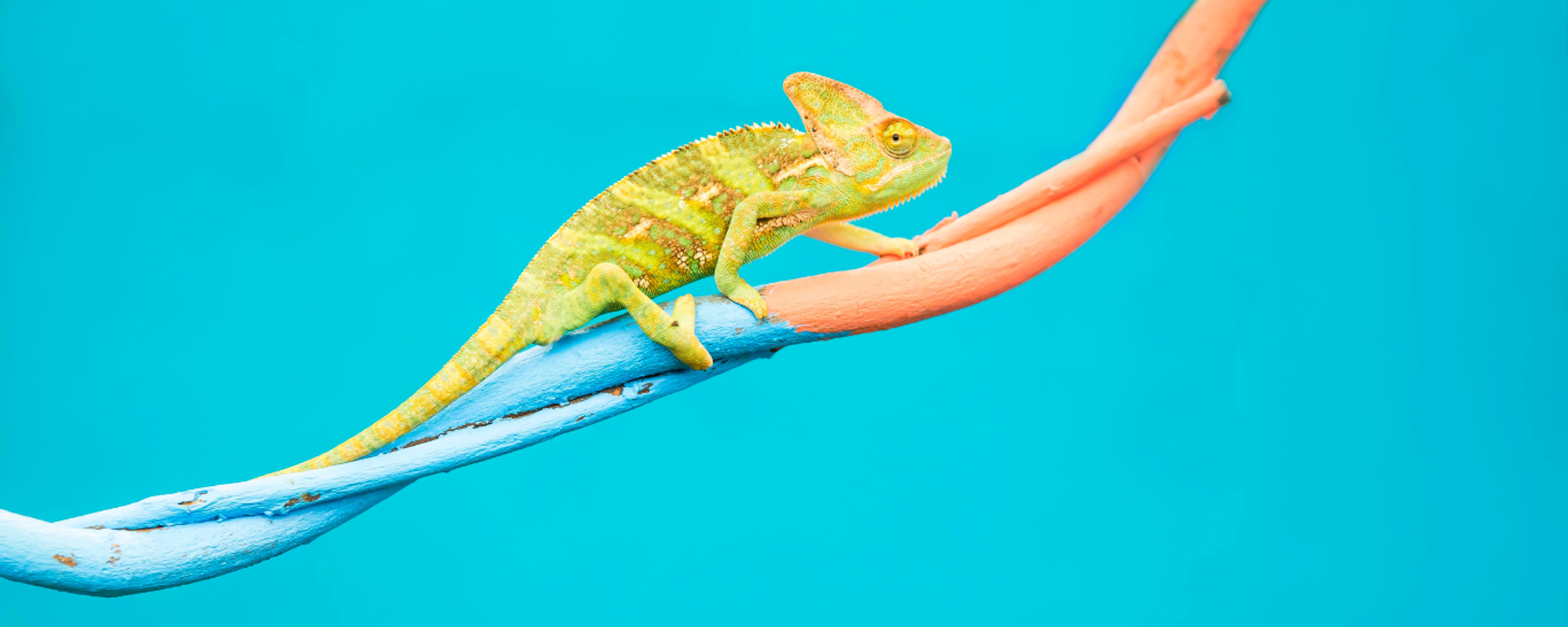 Why and how should organisational culture change?