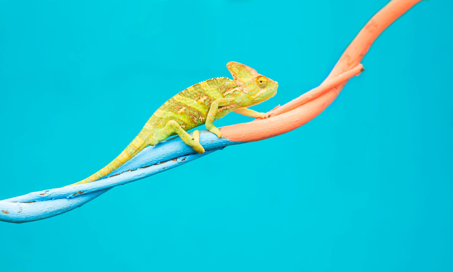 Why and how should organisational culture change?