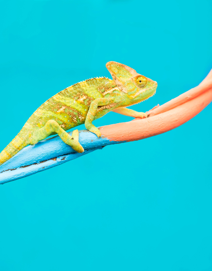 Why and how should organisational culture change?