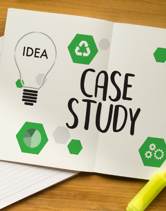 Sustainability in practice: mini case studies of successful implementations