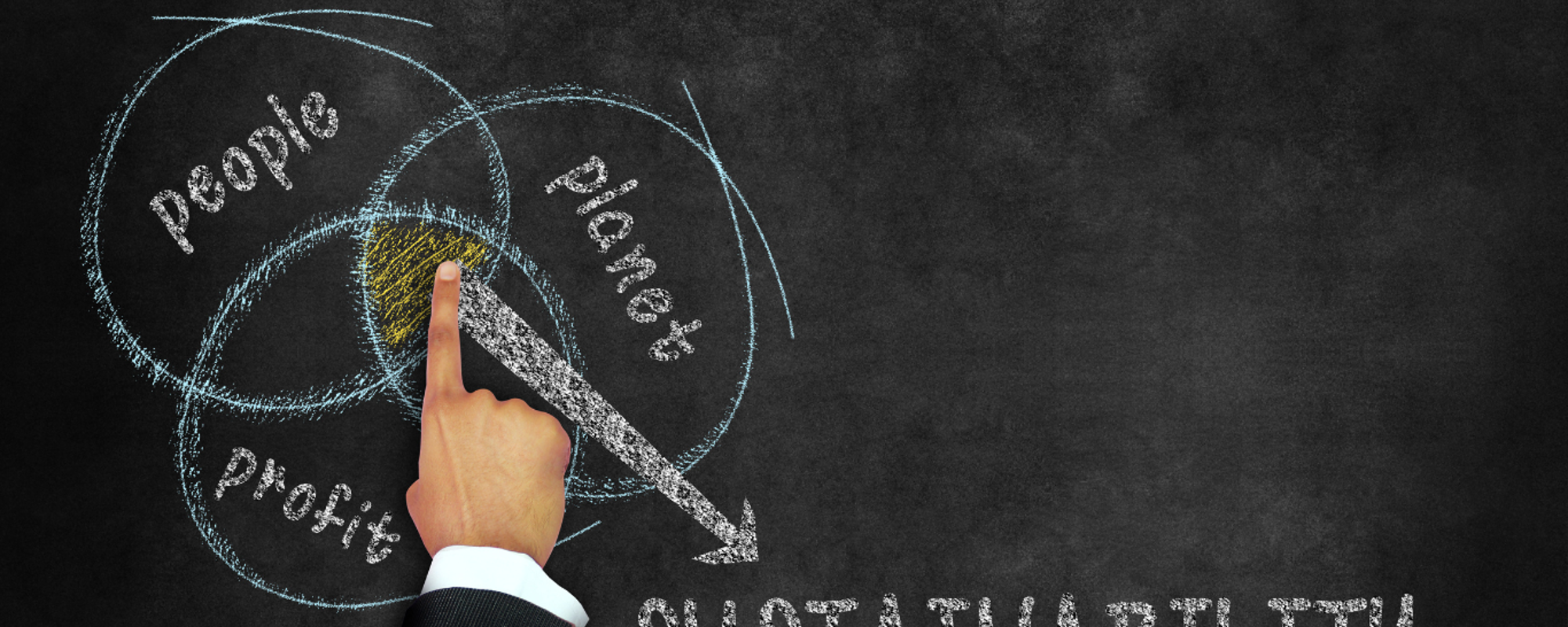 What is the Triple Bottom Line?