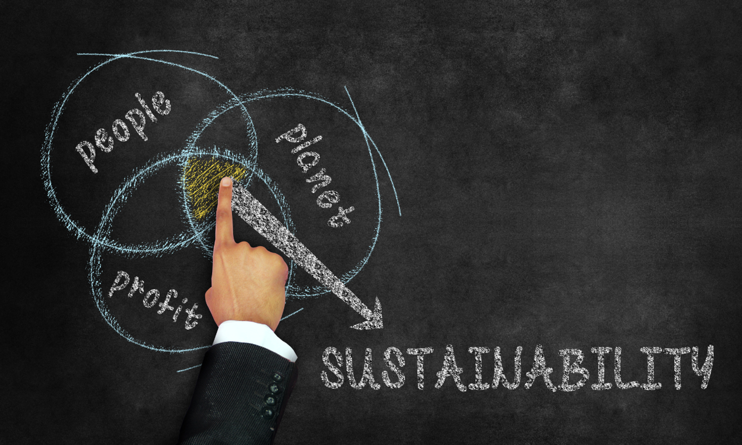 What is the Triple Bottom Line?