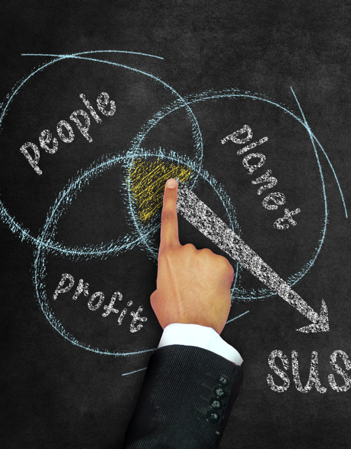 What is the Triple Bottom Line?