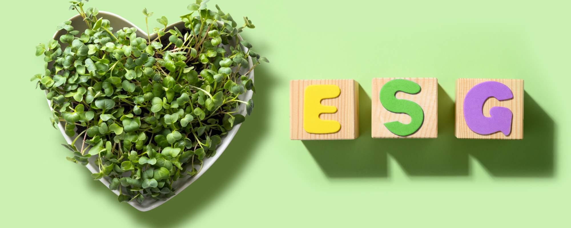 What is ESG?