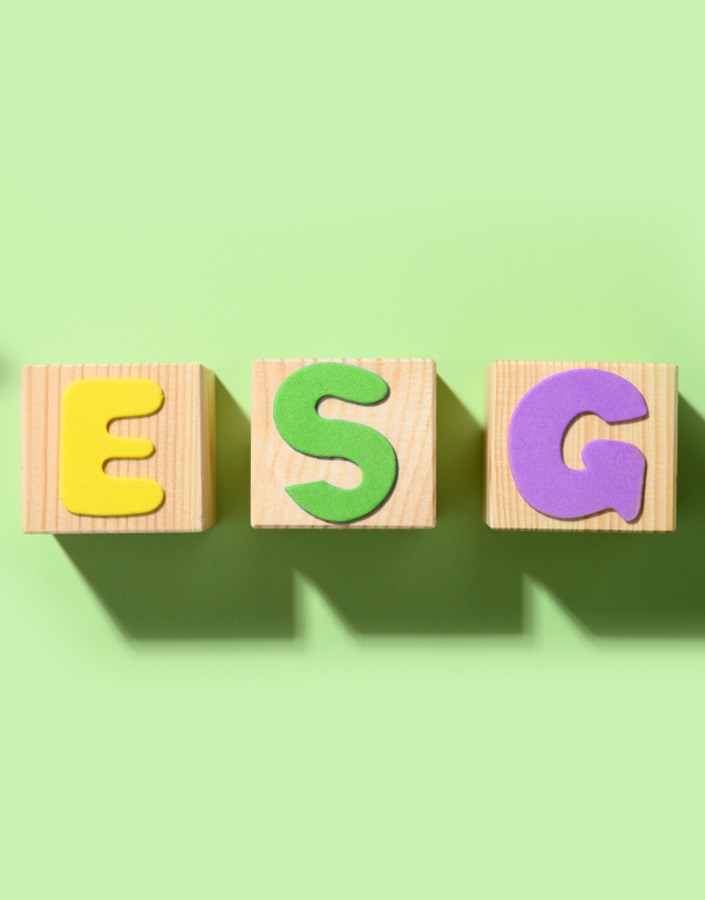 What is ESG?