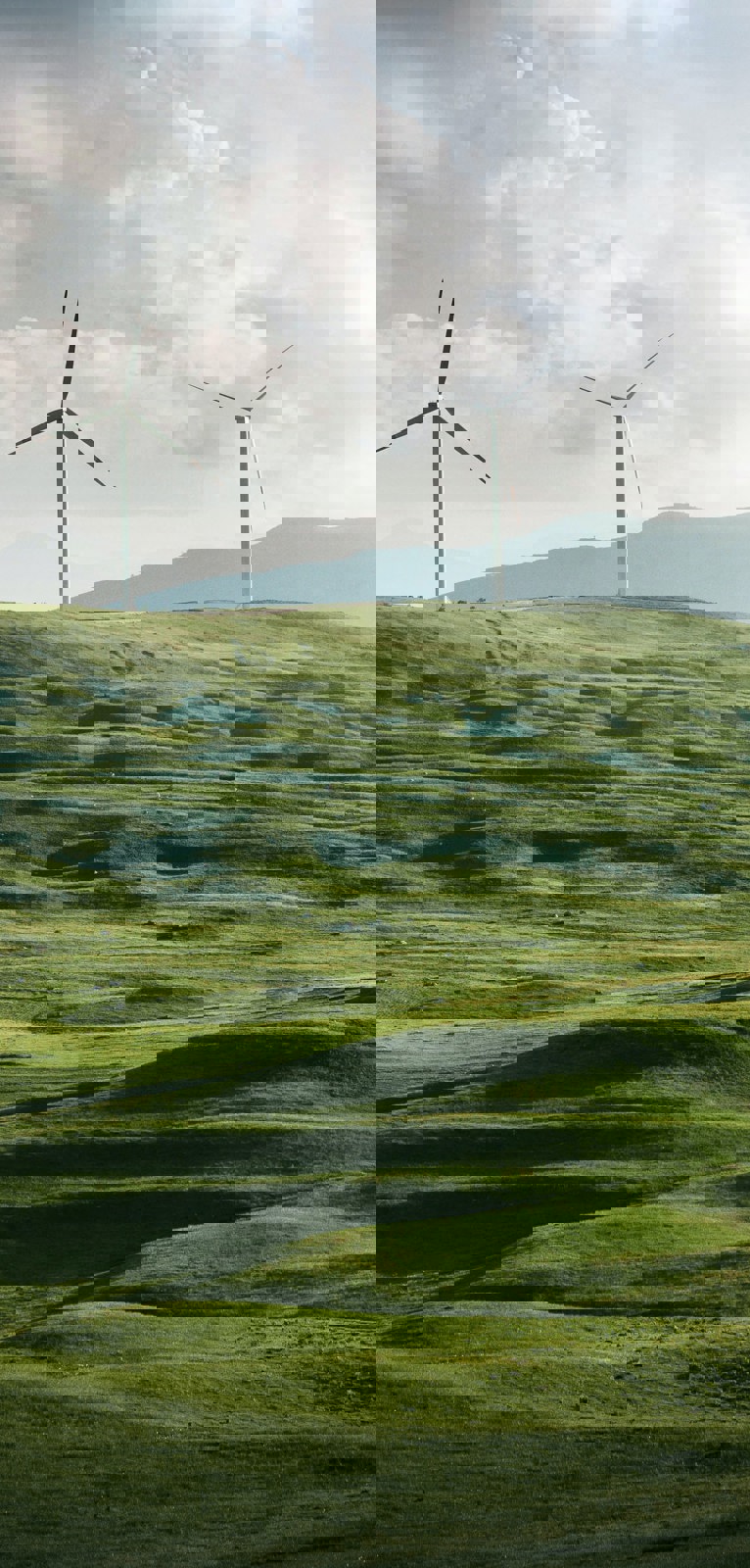 Working towards a <br>sustainable future