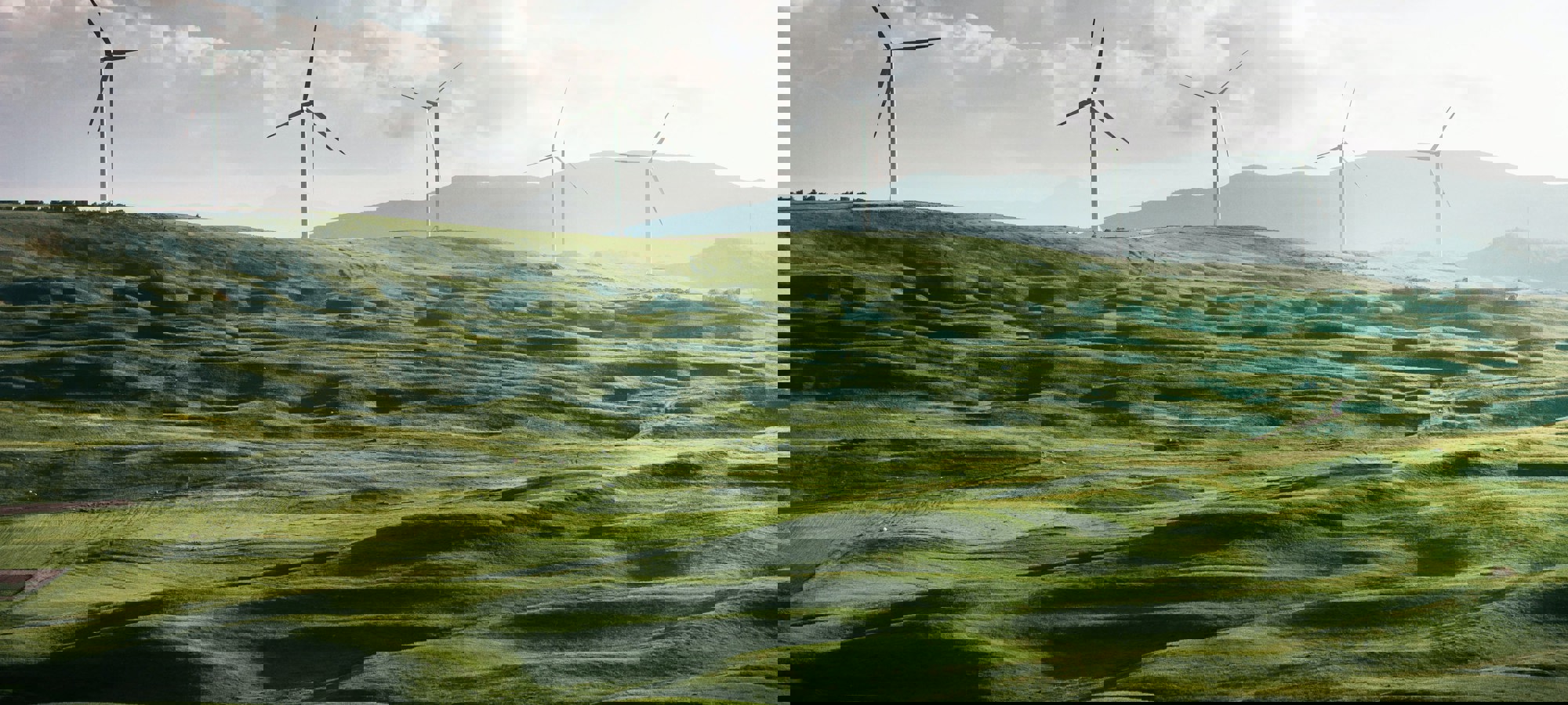 Appolinary Kalashnikova Wyghtlym344 Unsplash