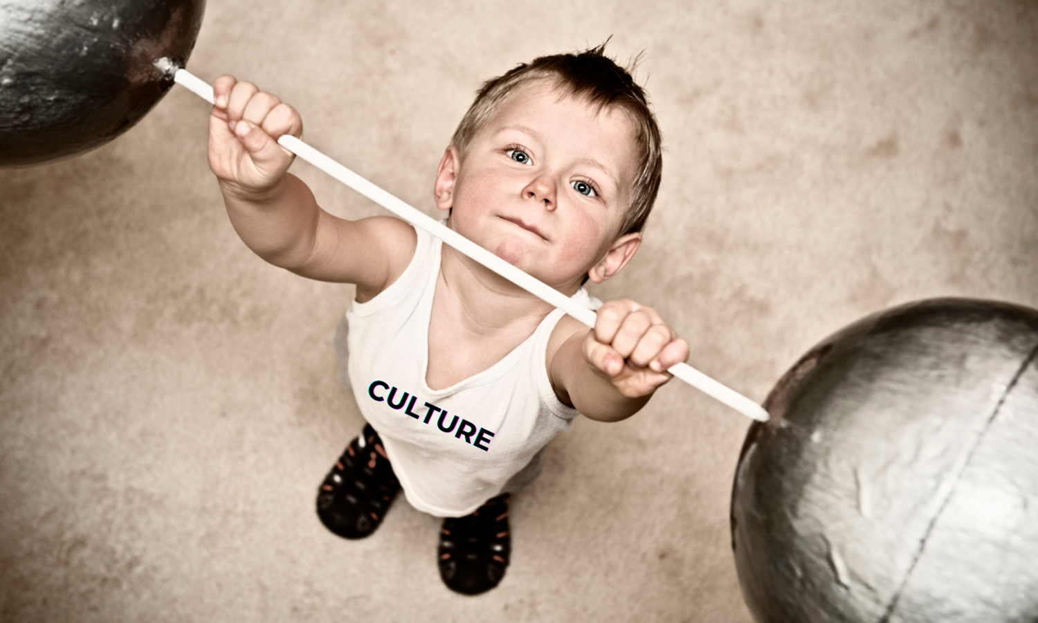 What are the characteristics of a strong organisational culture?