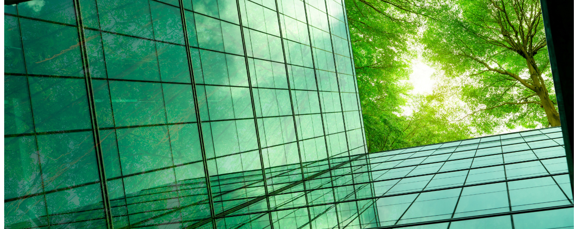 What is corporate sustainability?