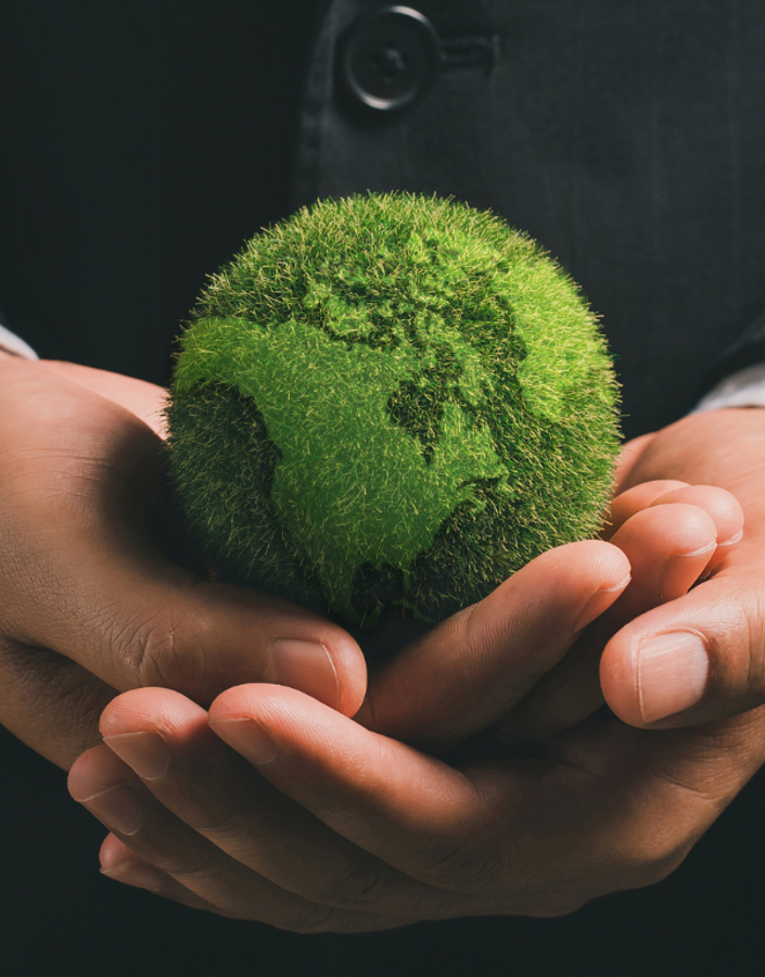 How do I localise sustainability?