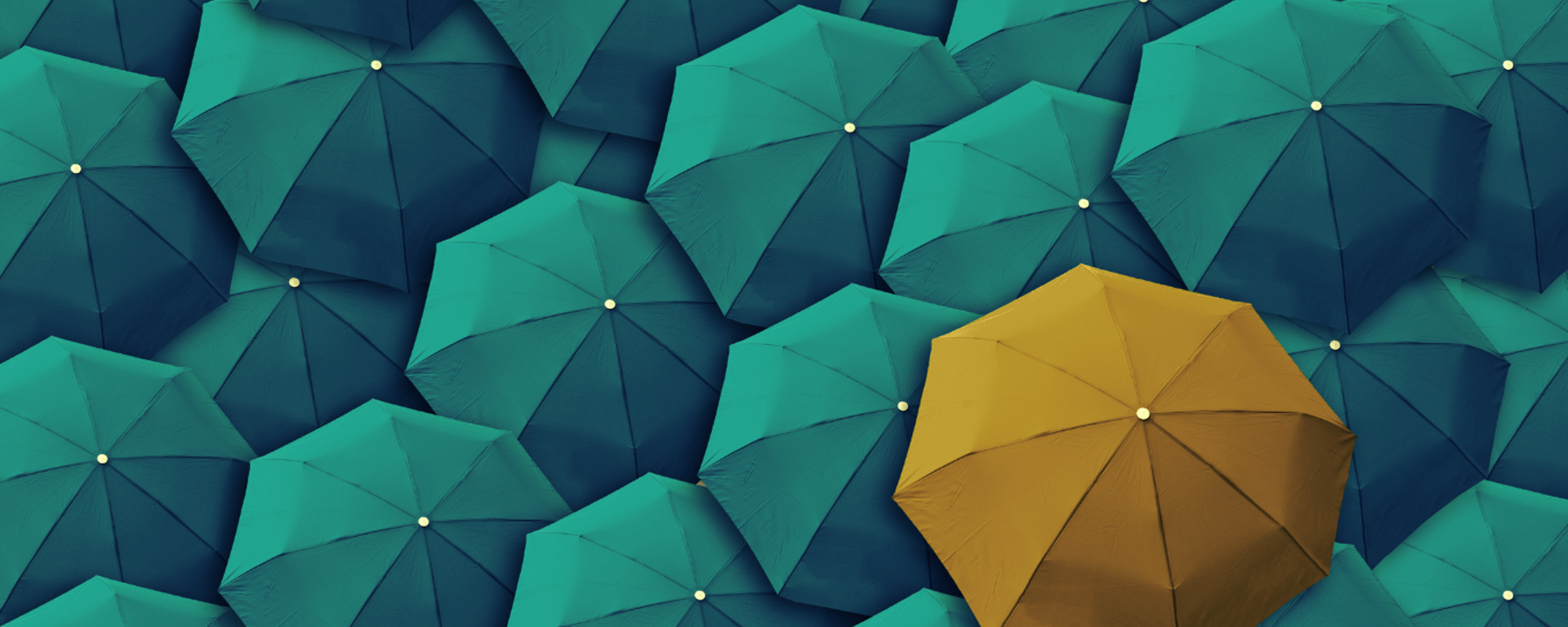 What role do leaders play in shaping organisational culture?