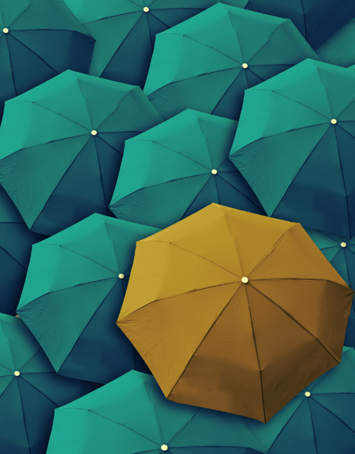 What role do leaders play in shaping organisational culture?