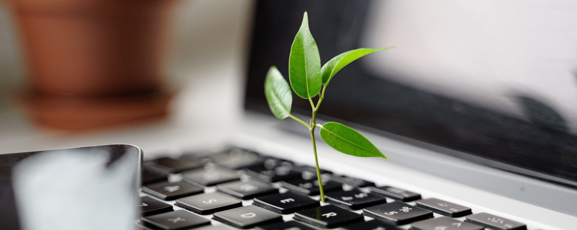 Why is sustainability important in the workplace?