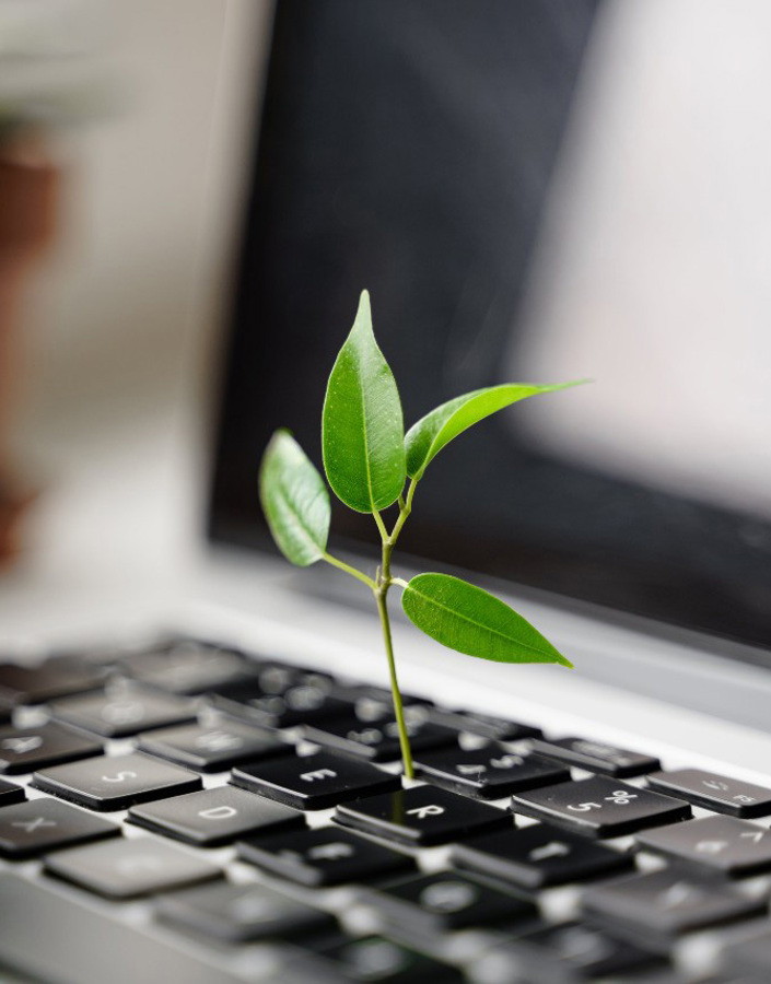 Why is sustainability important in the workplace?