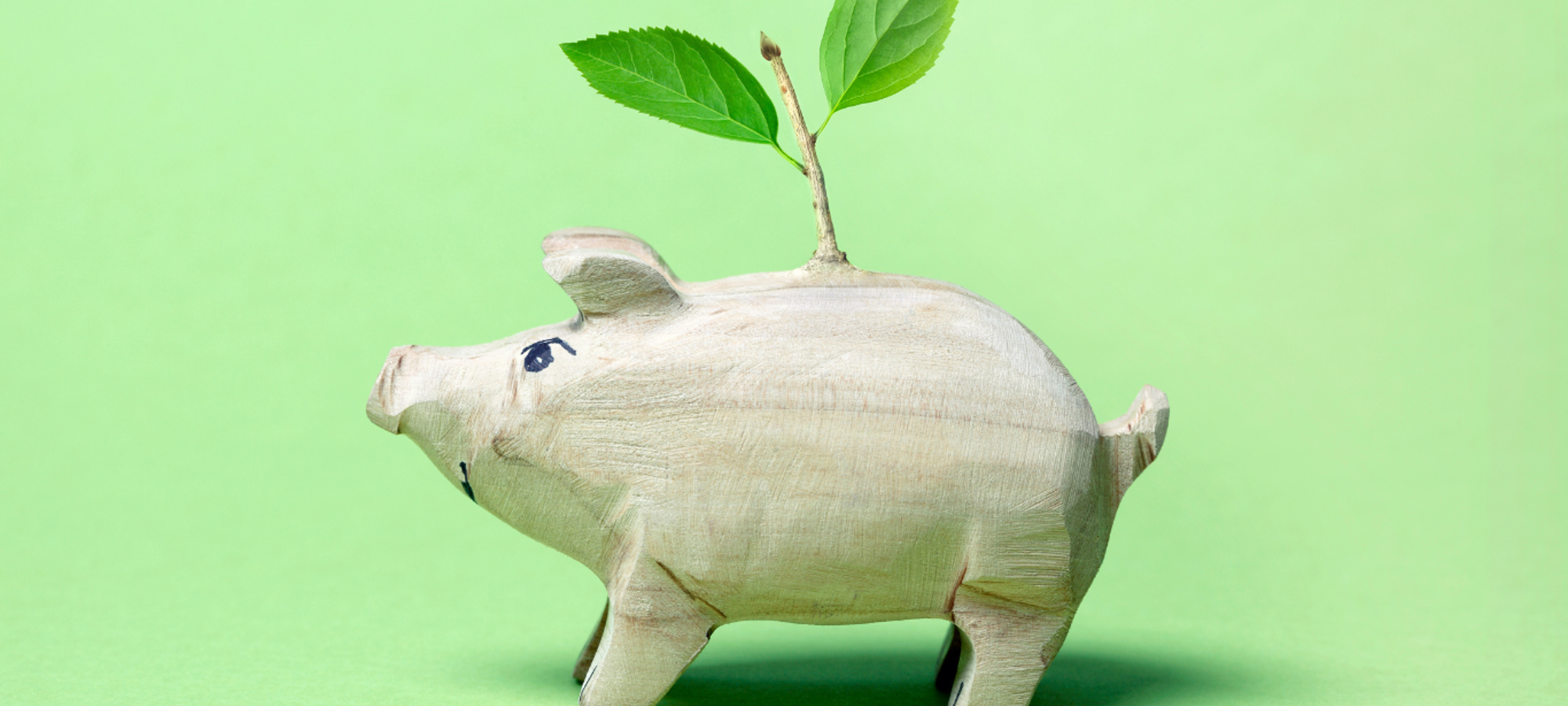 Circular Economy: closing the loop for sustainable business practices - part 2