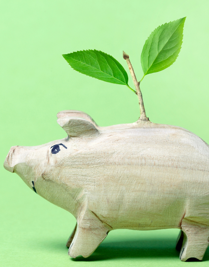 Circular Economy: closing the loop for sustainable business practices - part 2